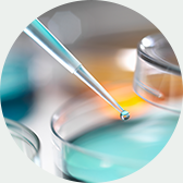 Formulation Formulation